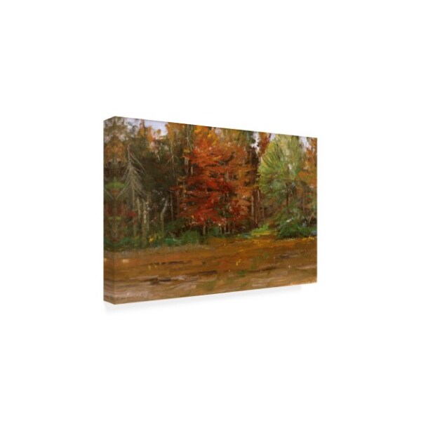 Michael Budden 'Autumn Colored Trees' Canvas Art,12x19